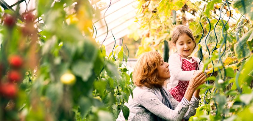 Gardening Compared With Farming