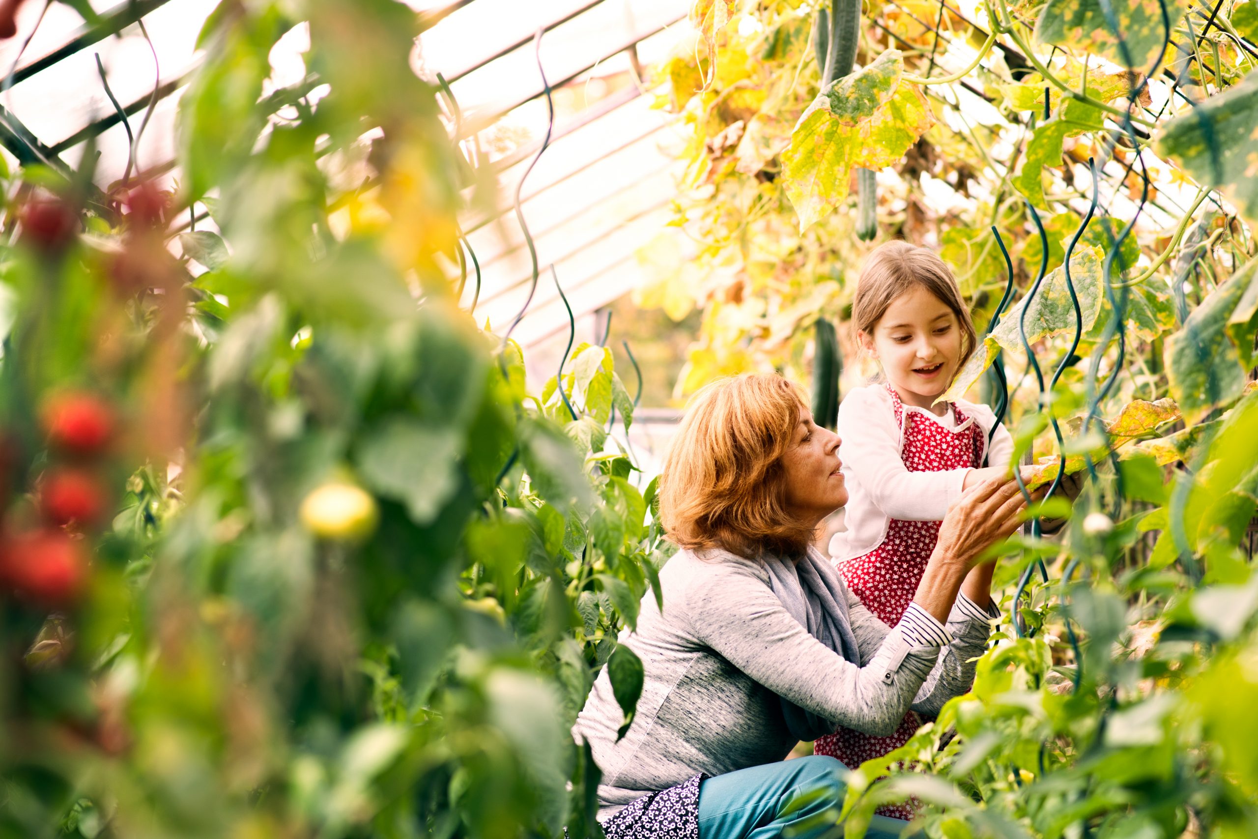 Gardening Compared With Farming