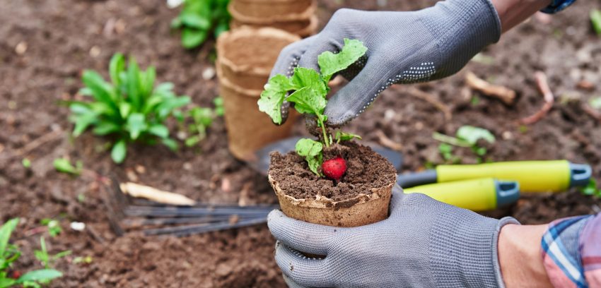 Buying Gardening Tools